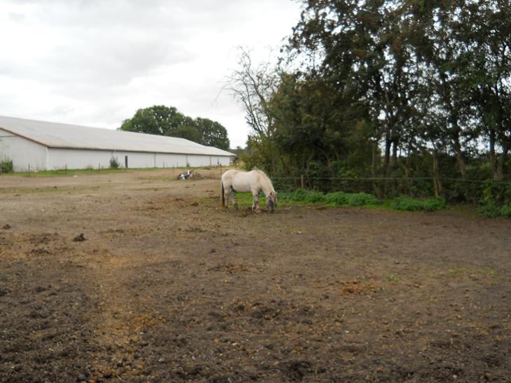 {{currentPhoto.altText}} billede {{currentPhoto.number}}