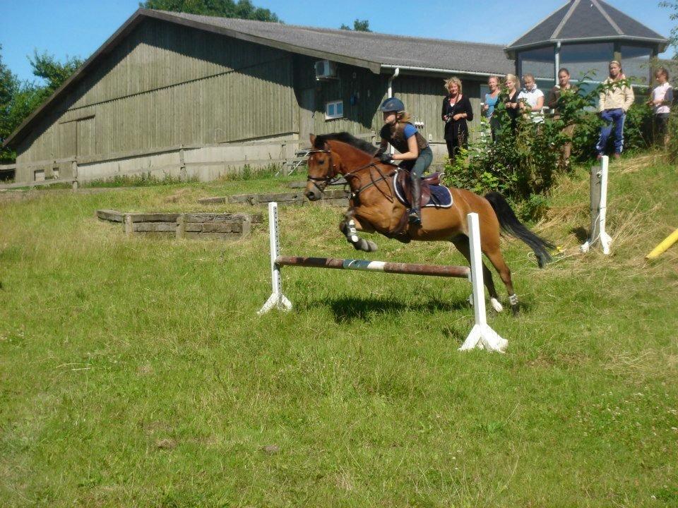 Emil Lønneberg billede 1