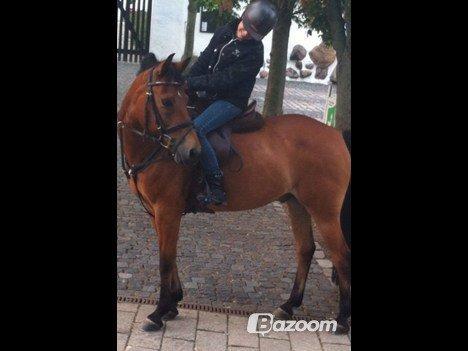 Emil Lønneberg billede 4