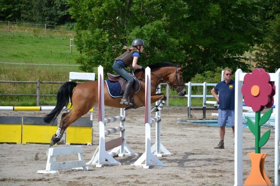 Emil Lønneberg billede 5