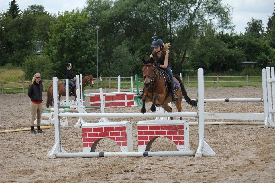 Emil Lønneberg billede 6