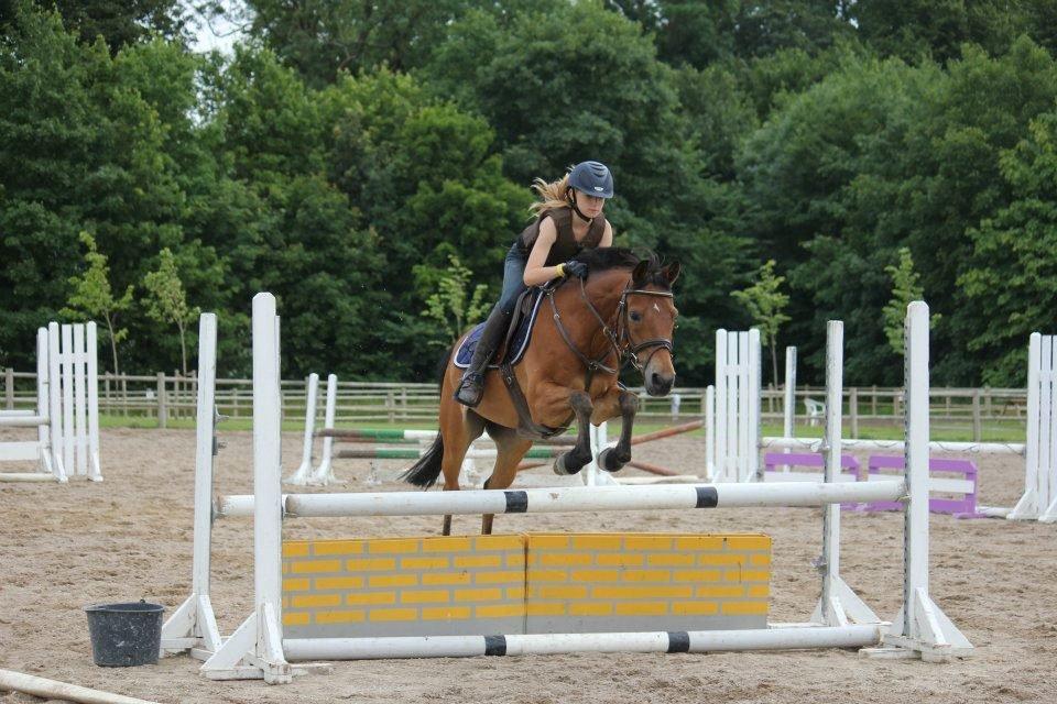 Emil Lønneberg billede 7