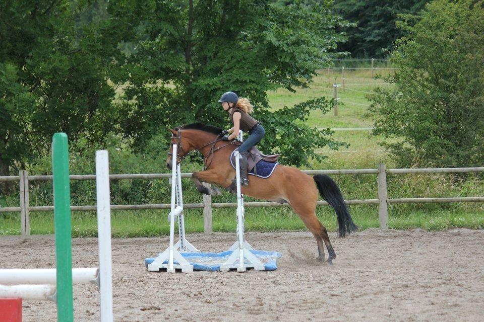 Emil Lønneberg billede 8