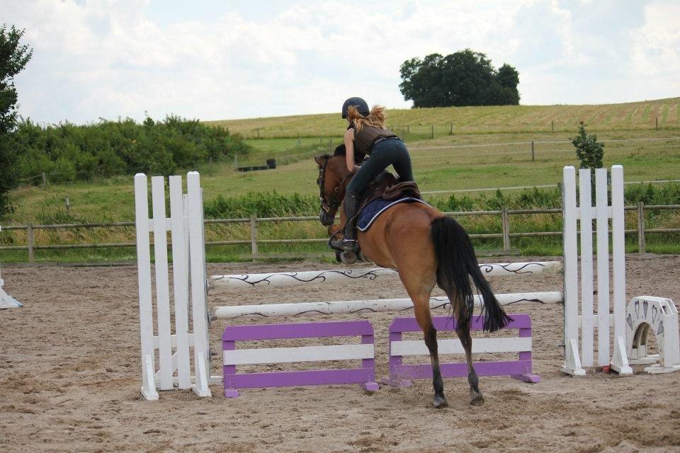 Emil Lønneberg billede 9