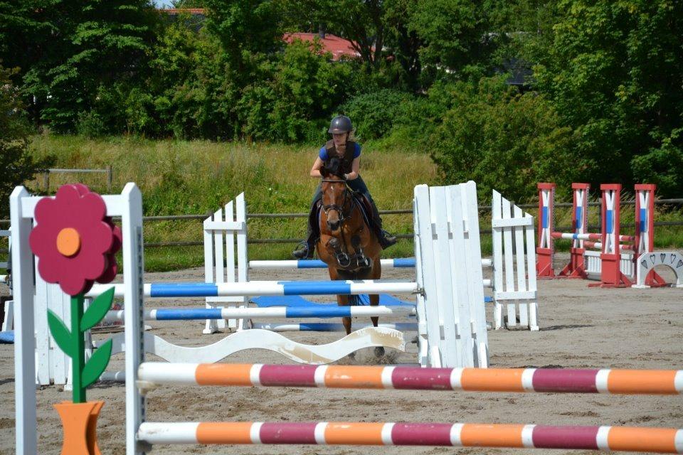 Emil Lønneberg billede 10