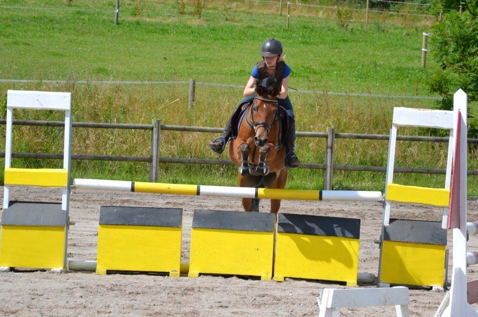 Emil Lønneberg billede 11