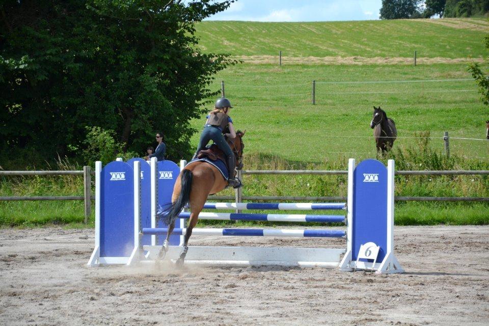 Emil Lønneberg billede 12