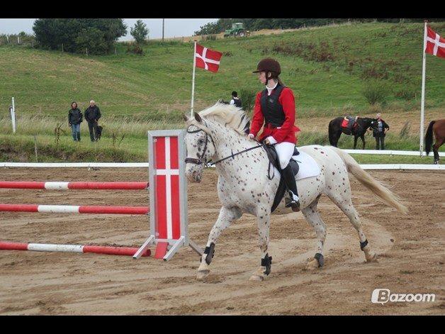 LD - Højfyns Rideklub aug. 2012 billede 1