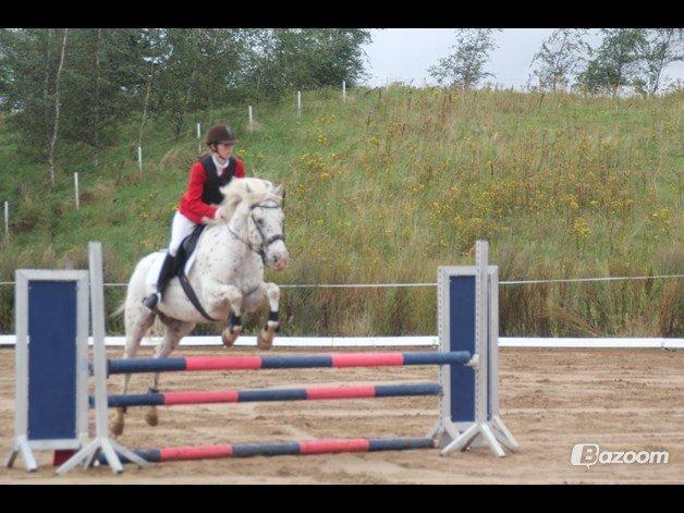 LD - Højfyns Rideklub aug. 2012 billede 4