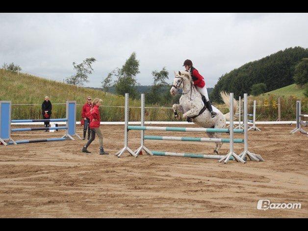LD - Højfyns Rideklub aug. 2012 billede 5