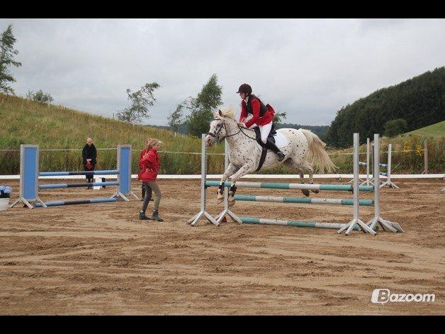 LD - Højfyns Rideklub aug. 2012 billede 6
