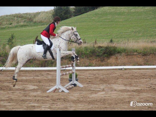 LD - Højfyns Rideklub aug. 2012 billede 7