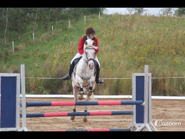 LD - Højfyns Rideklub aug. 2012 billede 8