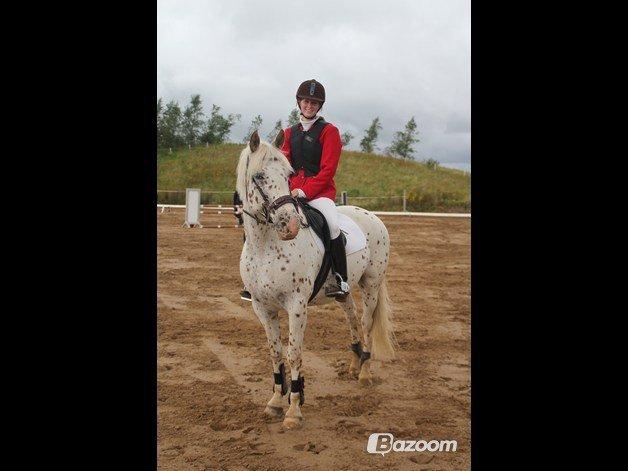 LD - Højfyns Rideklub aug. 2012 billede 10