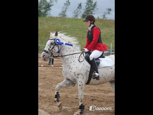 LD - Højfyns Rideklub aug. 2012 billede 11