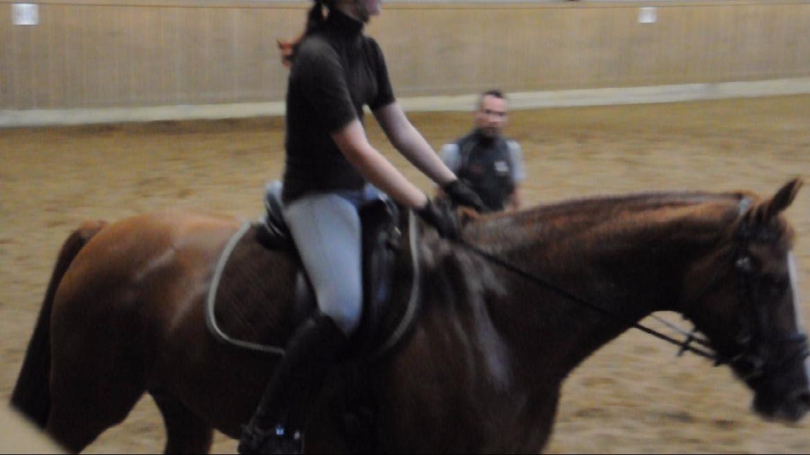 Dressurundervisning v. Michael Grønne! billede 13