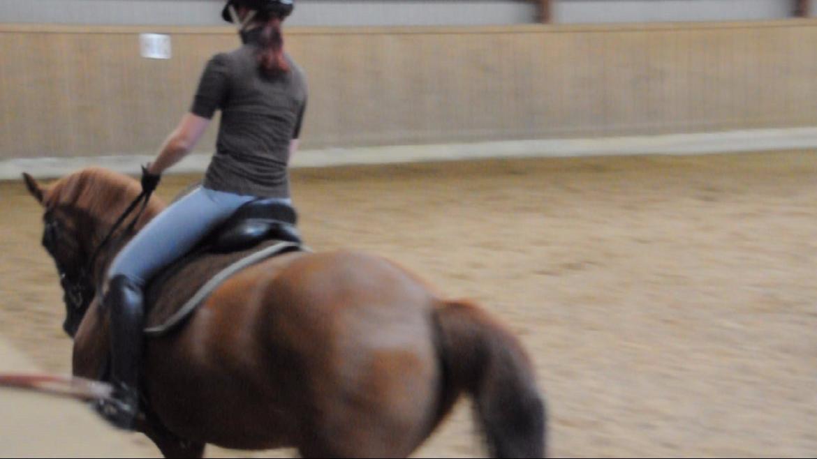 Dressurundervisning v. Michael Grønne! billede 14