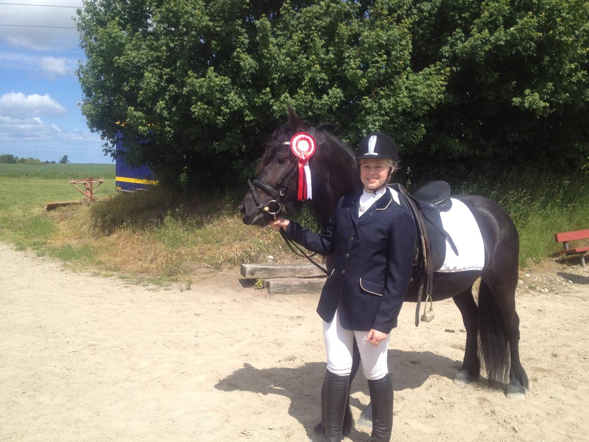  fell ponyer fra stutteri Bakkely - Bakkely´s Bella fik en 1 plads med sin part Nina
Bella og Nina har startet 1 dressur stævne 1 plads og 2 springstævner 1 plads i begge Bella er til salg billede 5