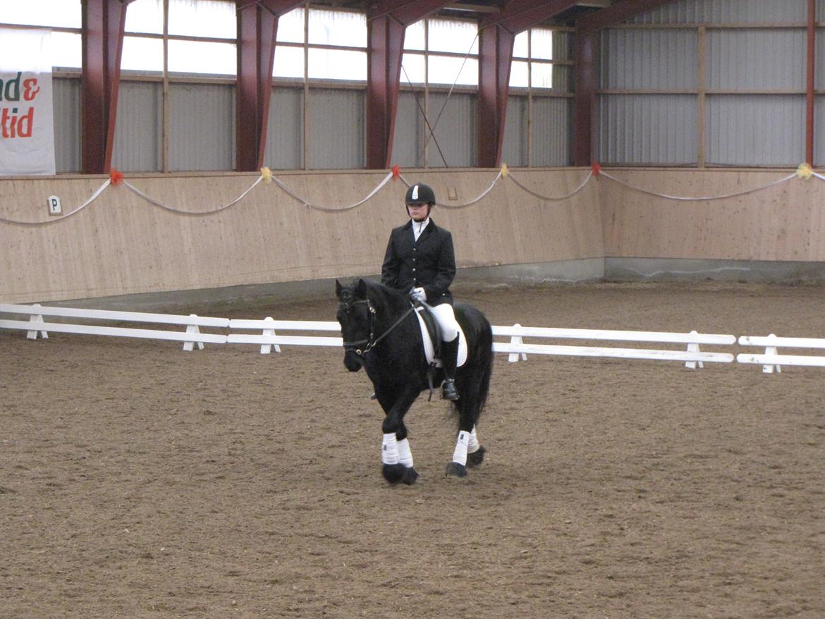  fell ponyer fra stutteri Bakkely - Sara og Lasse til stævne billede 33