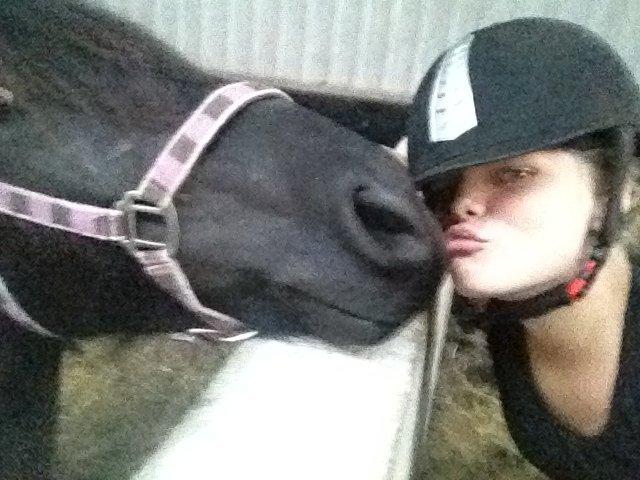  fell ponyer fra stutteri Bakkely - Bella billede 46