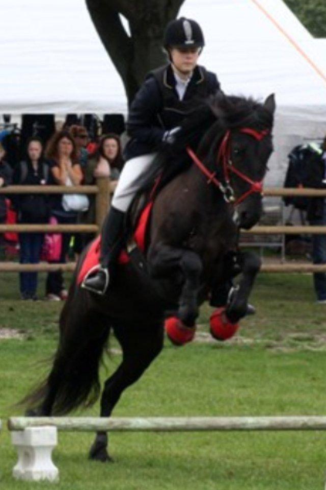  fell ponyer fra stutteri Bakkely - storehestedag 2012 billede 48