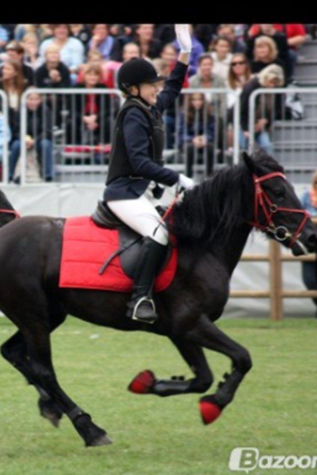  fell ponyer fra stutteri Bakkely - Bakkely´s Bella med Nina til store hestedag 2012 billede 49