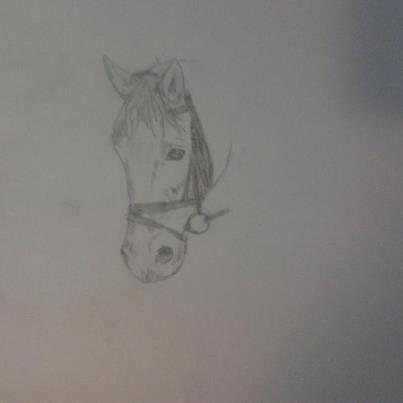 Mine tegninger - starten på en tegning  billede 1