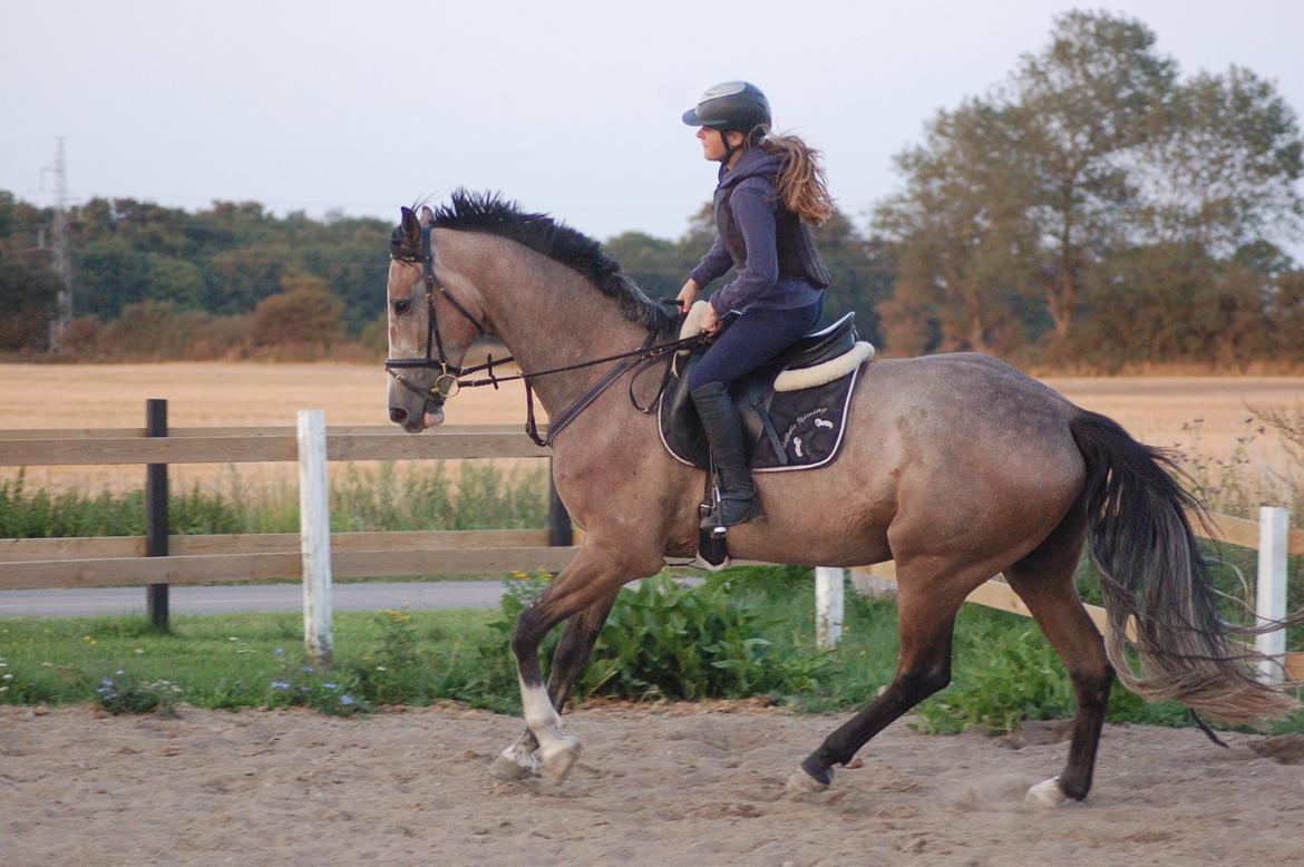 Vores 4 års e. Casir Ask/ Lando billede 2