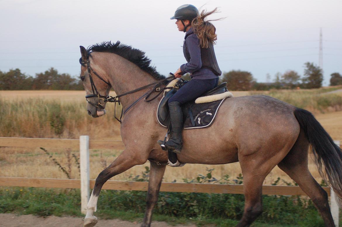 Vores 4 års e. Casir Ask/ Lando billede 3