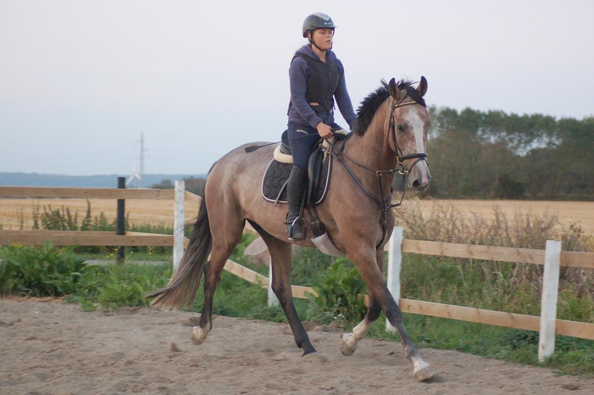 Vores 4 års e. Casir Ask/ Lando billede 5