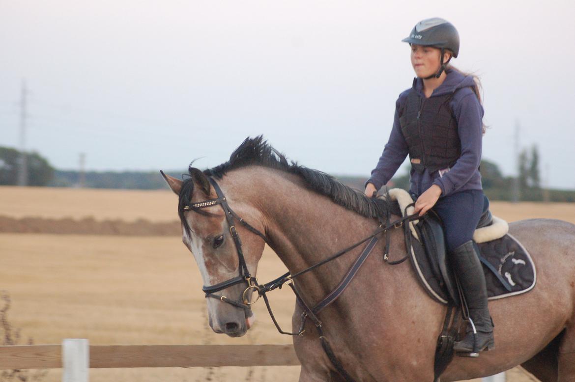 Vores 4 års e. Casir Ask/ Lando billede 6