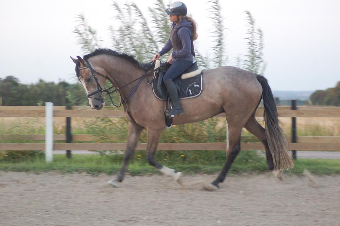 Vores 4 års e. Casir Ask/ Lando billede 7