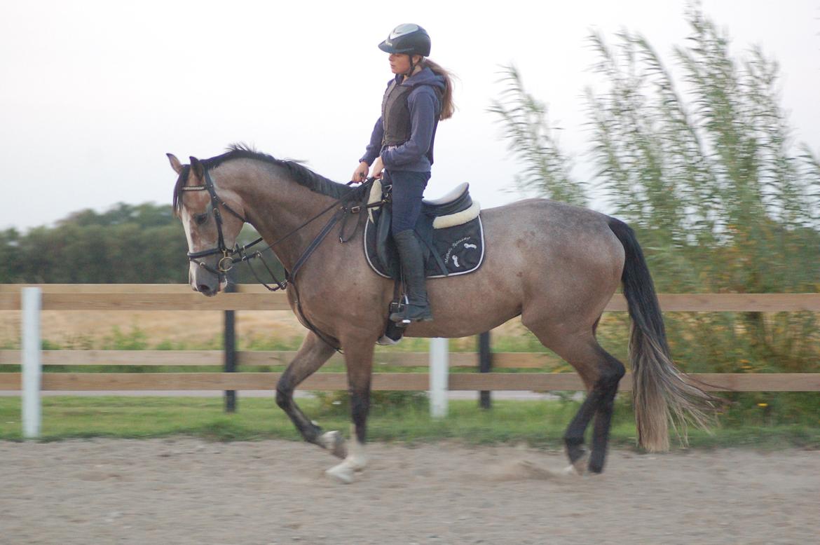 Vores 4 års e. Casir Ask/ Lando billede 8