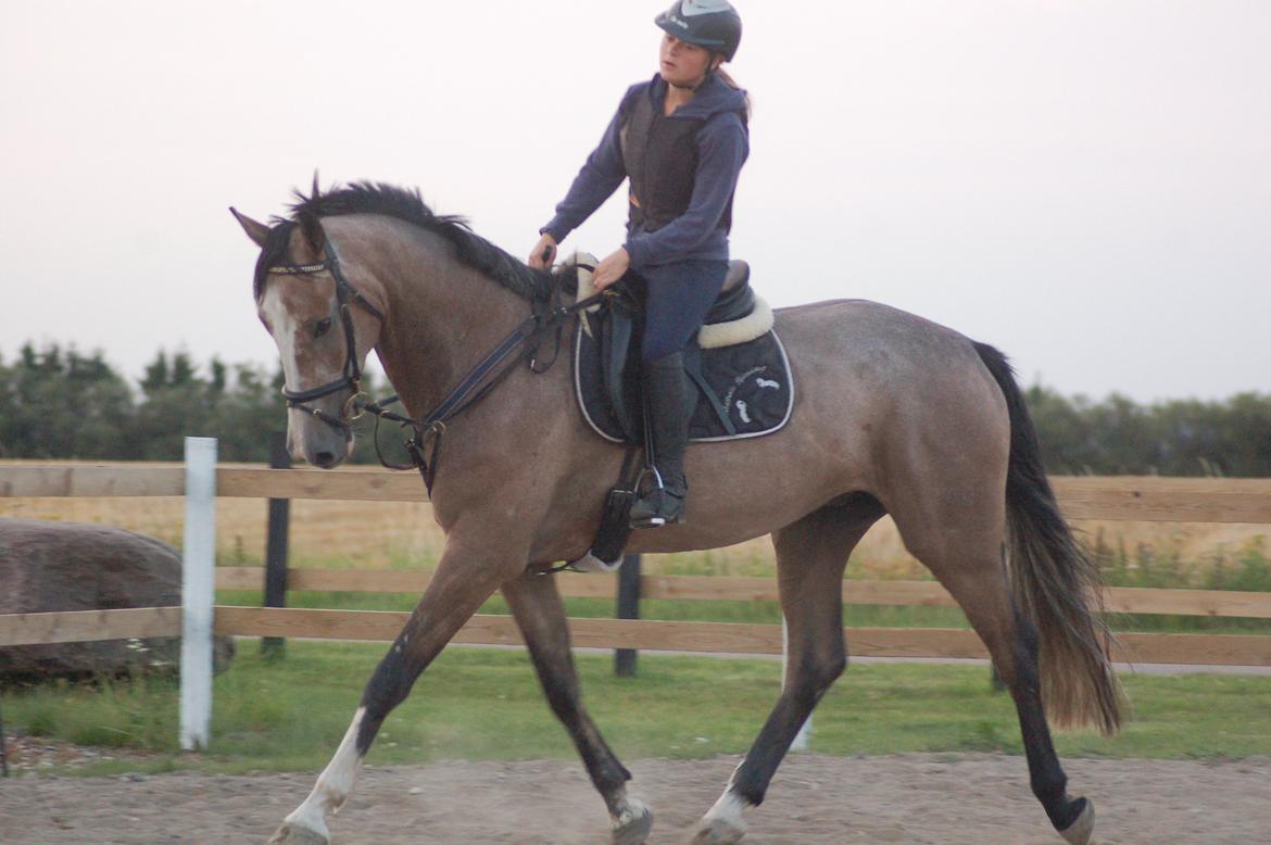 Vores 4 års e. Casir Ask/ Lando billede 9