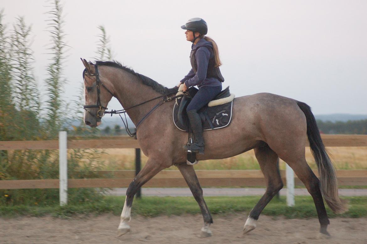 Vores 4 års e. Casir Ask/ Lando billede 10