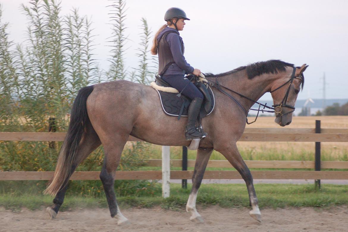 Vores 4 års e. Casir Ask/ Lando billede 11