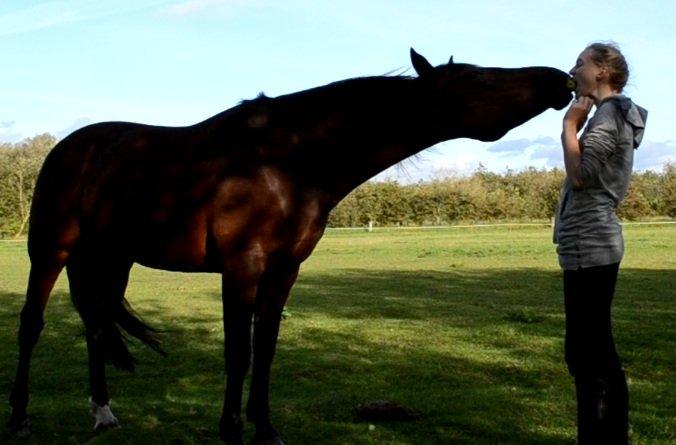 Vores billedebog. - Hyyygge på folden med den bedste! :-D Har deler vi et æble! :-D billede 60