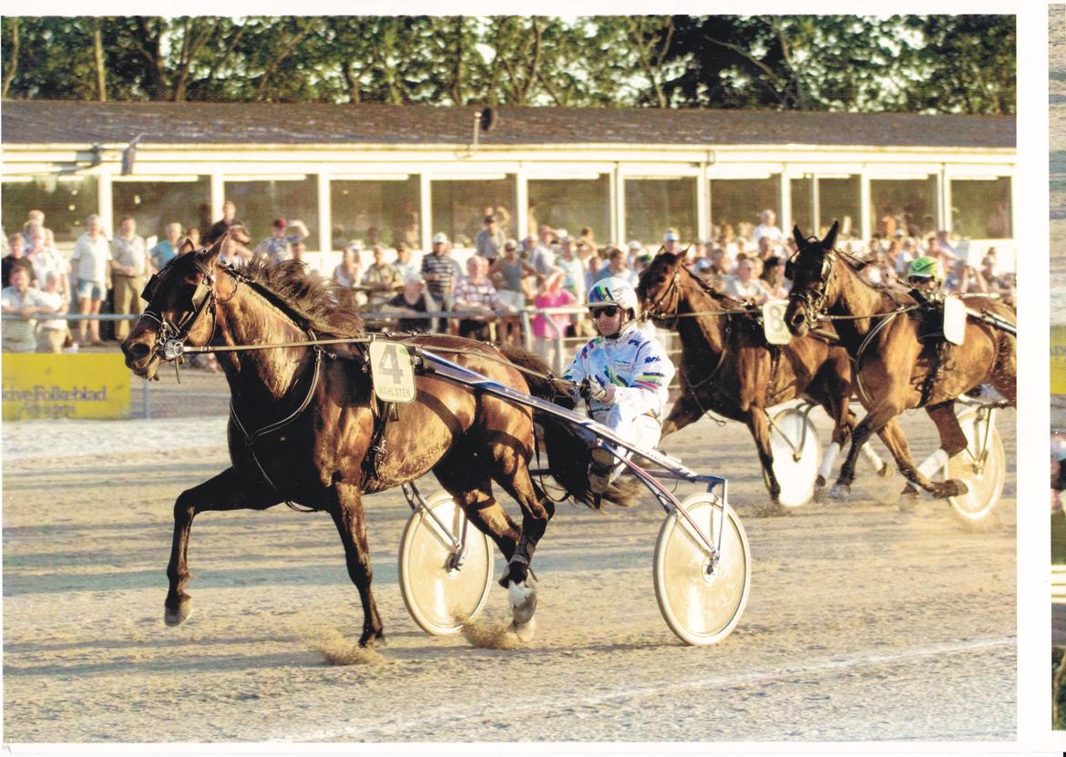 Vores billedebog. - Kaliber vinder her på billedet i Skive. Billedet er fra hans tid på travbanen! :-D billede 62