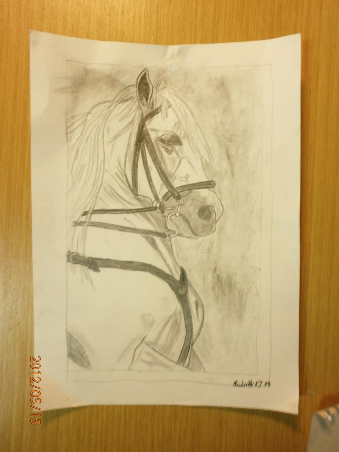 Nogle af mine tegninger :) billede 12