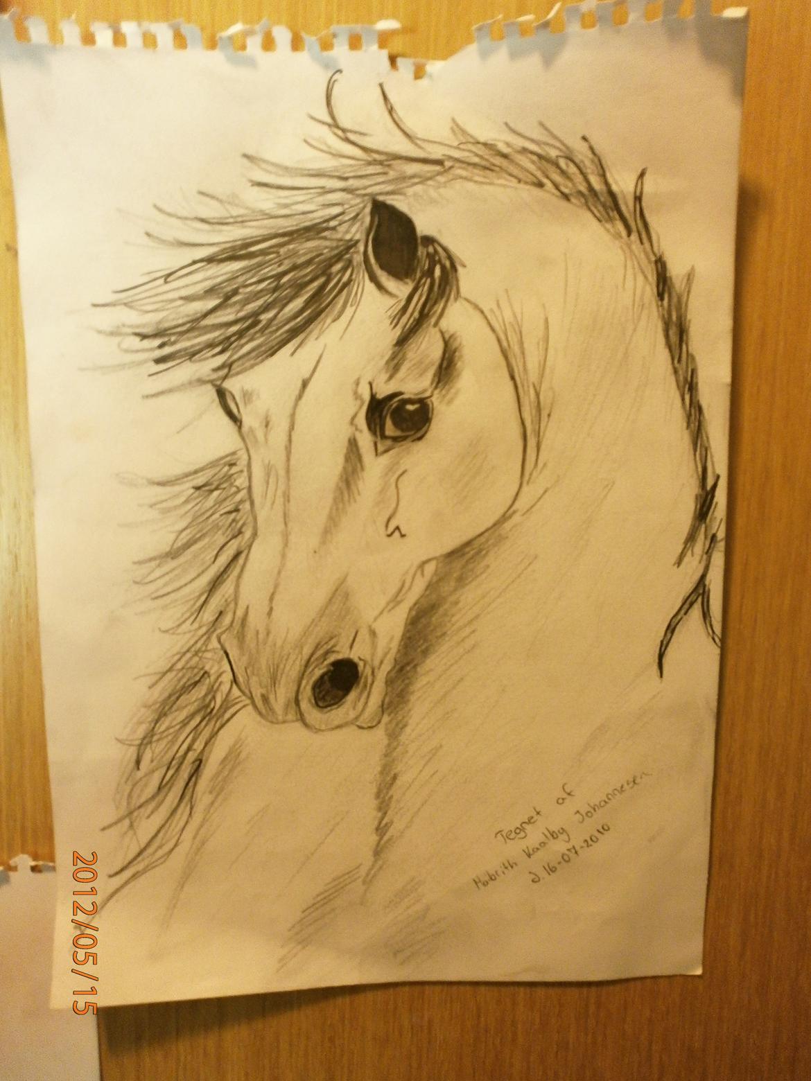 Nogle af mine tegninger :) billede 13