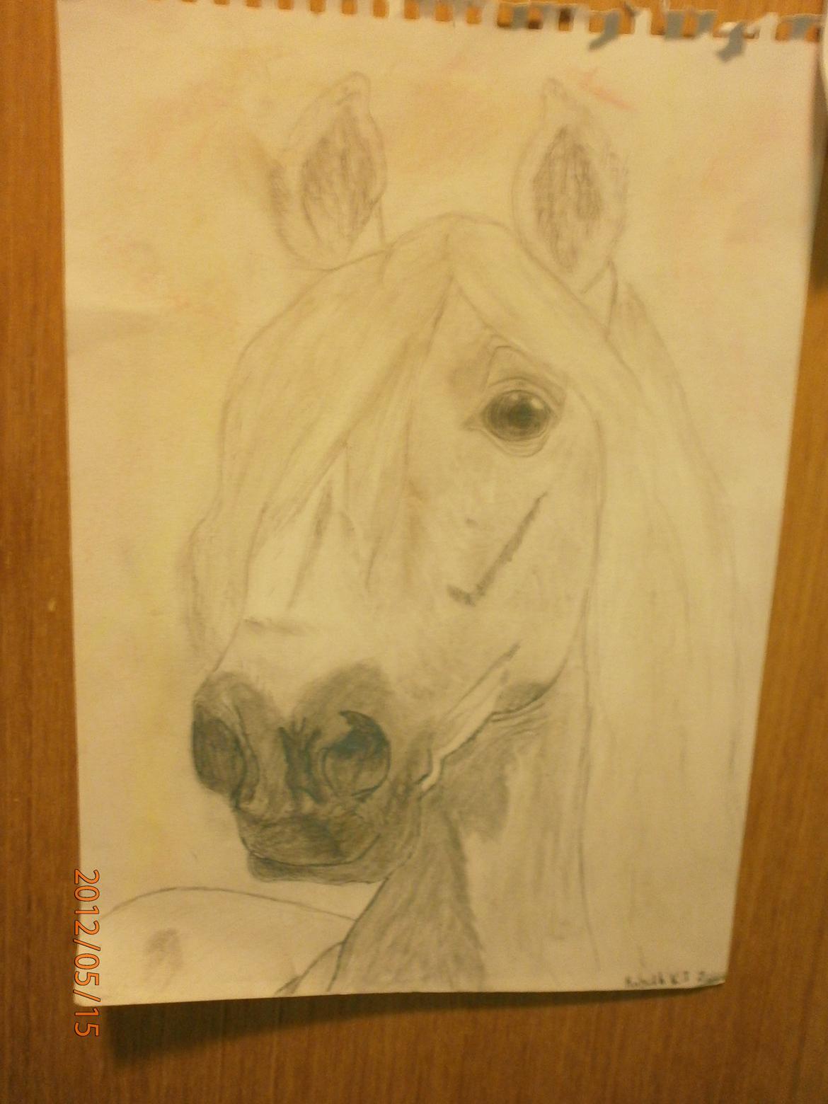 Nogle af mine tegninger :) billede 14