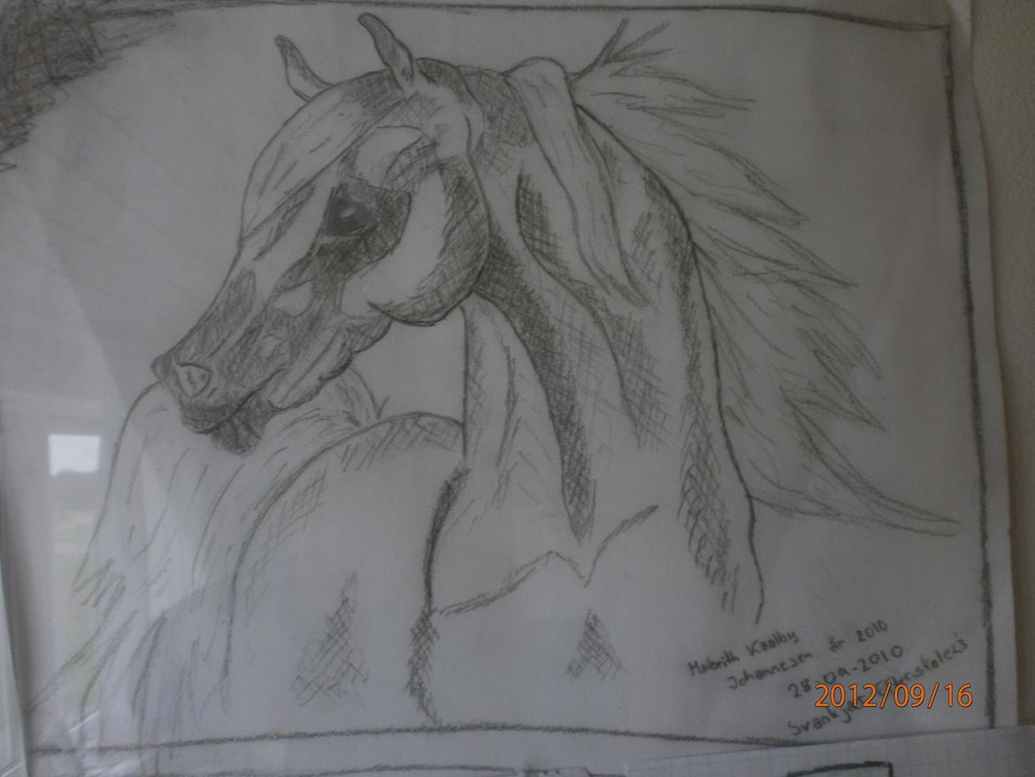 Nogle af mine tegninger :) billede 17