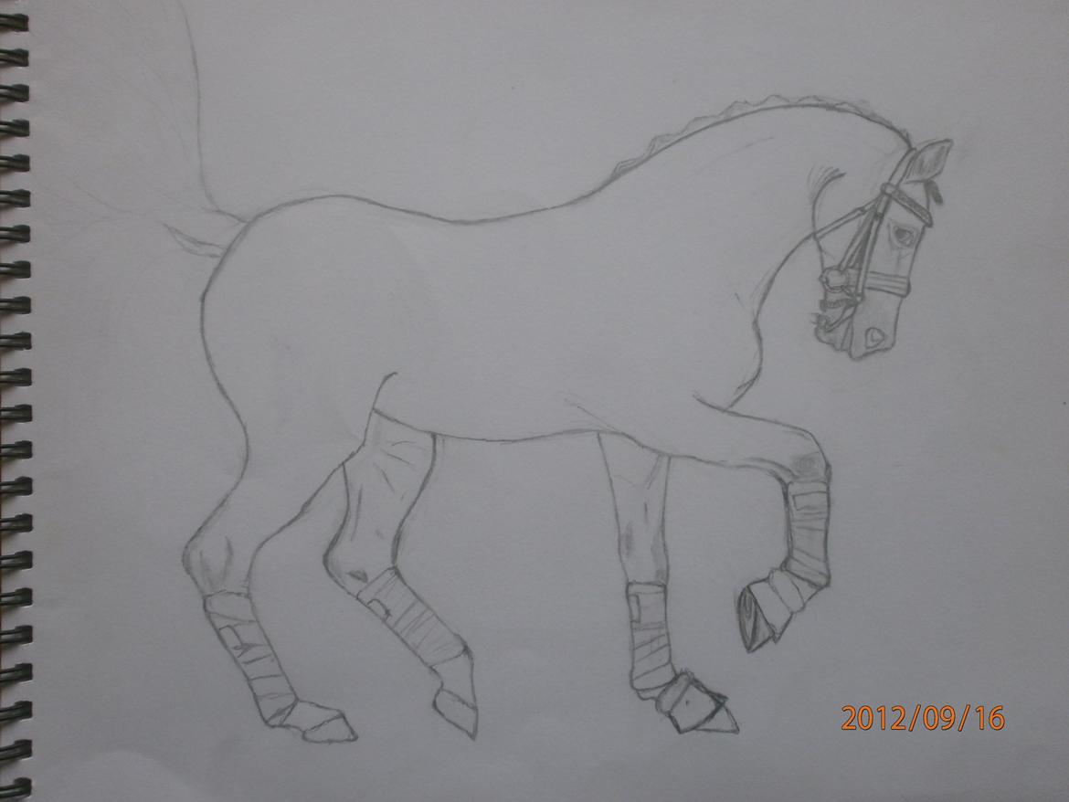 Nogle af mine tegninger :) - Begyndelse på Andreas Helgstrand og Blue Horse Matiné  billede 20