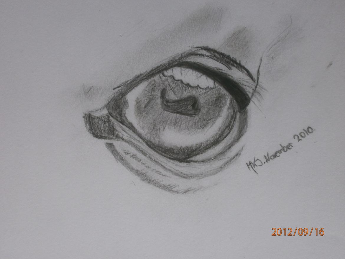 Nogle af mine tegninger :) - Hesteøje :) Skulle da lige prøves billede 22
