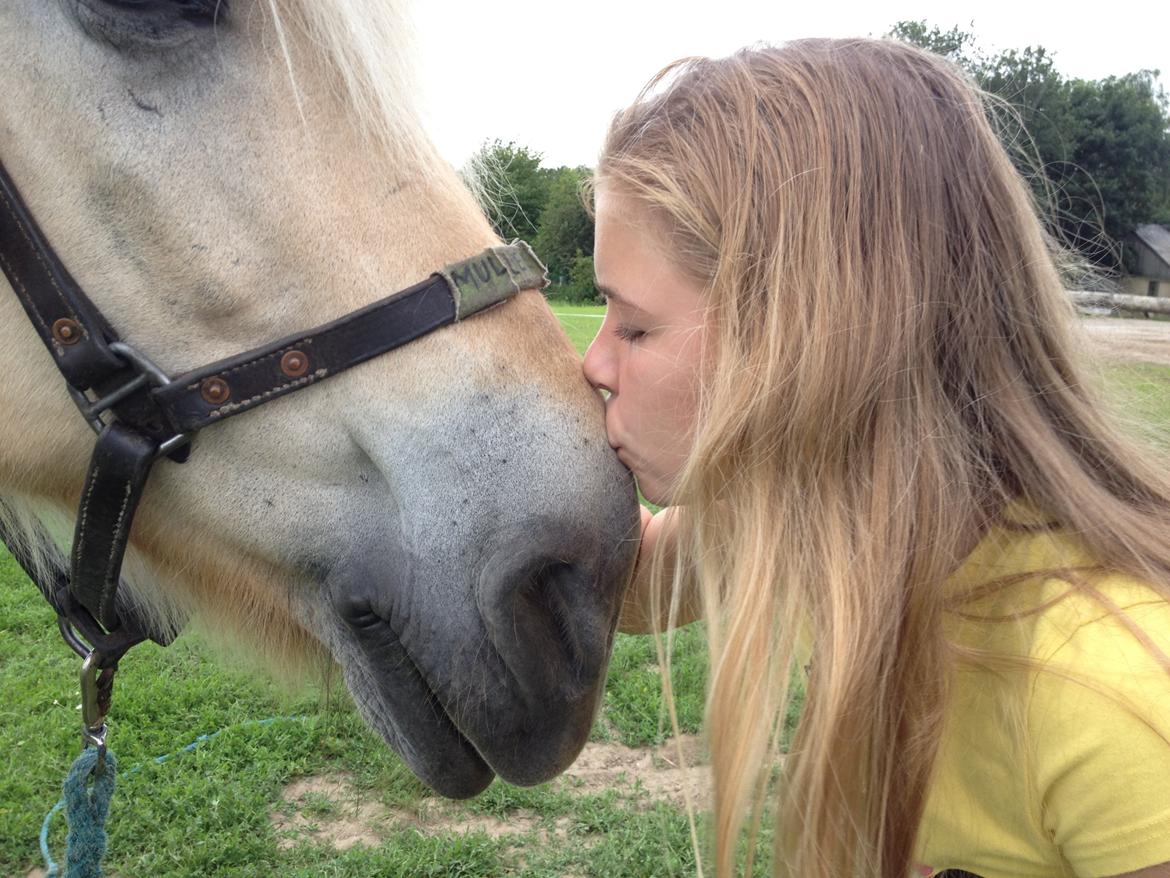 Prærievognsferie :) - myys <3 billede 9