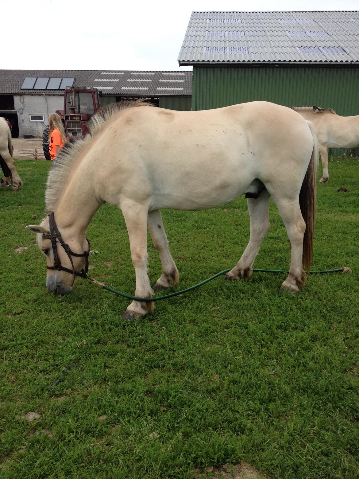 Prærievognsferie :) - viktor:) billede 15