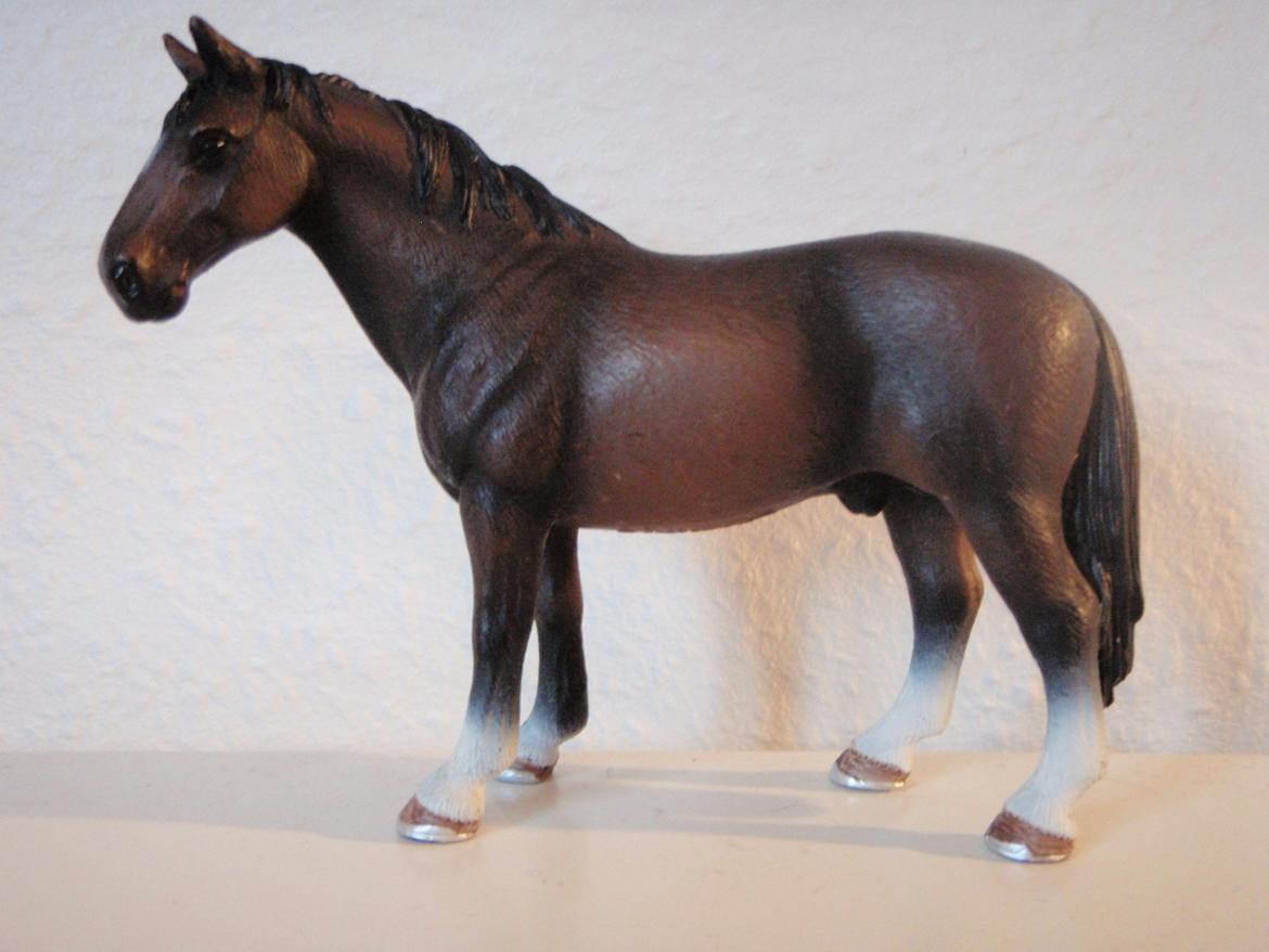 Mine schleich heste+ting ;) - Navn : Sisco - Køn : Hingst - Alder : 6 år billede 1