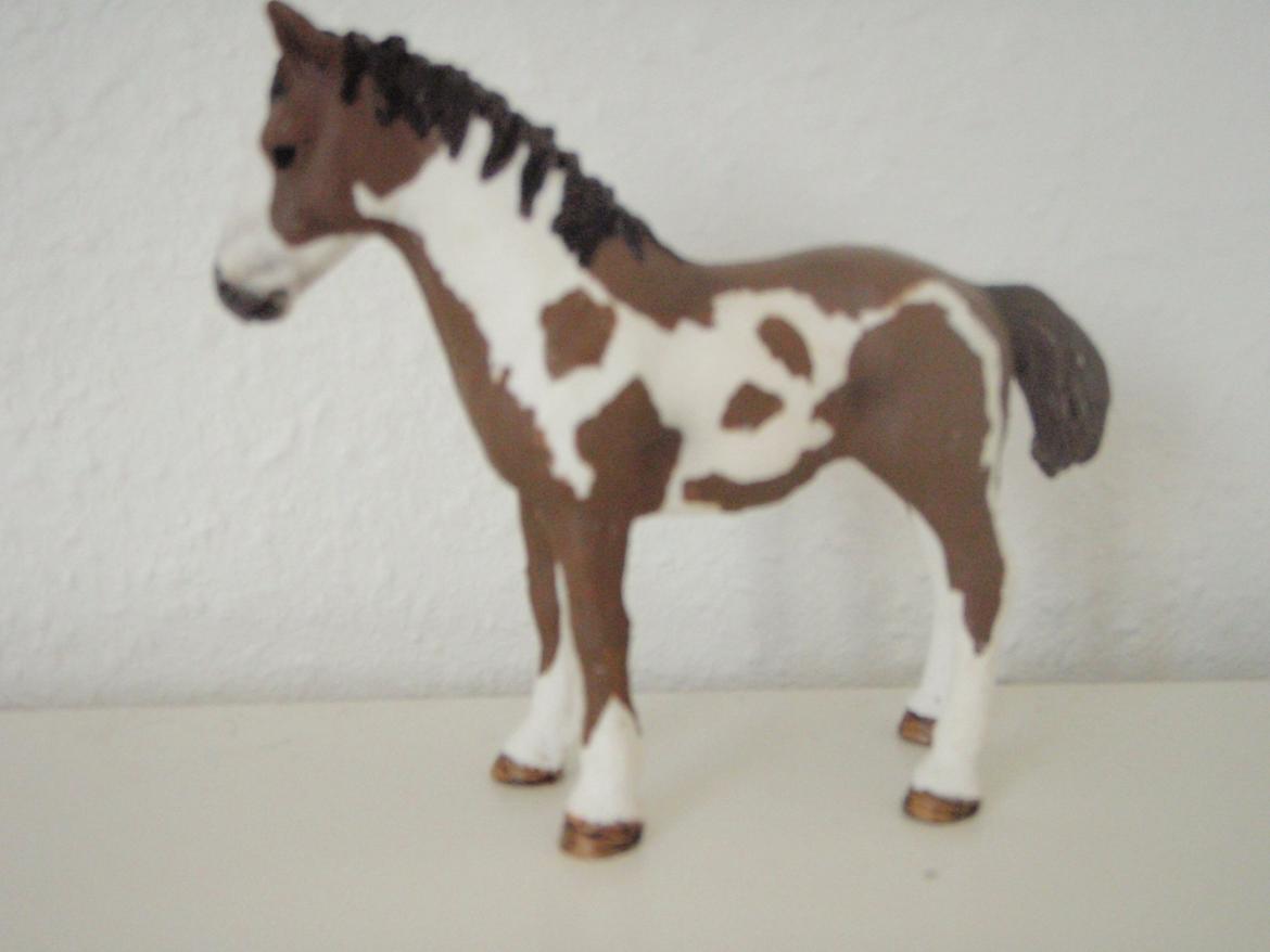 Mine schleich heste+ting ;) - Navn : Capello - Køn : Vallak - Alder : 2 billede 13