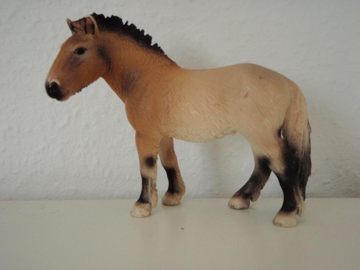 Mine schleich heste+ting ;) - Navn : Filur - Køn : Hoppe - Alder : 9 billede 15