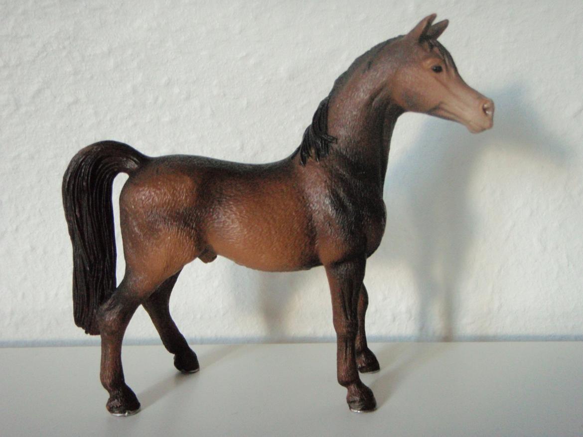 Mine schleich heste+ting ;) - Navn : Chico - Køn Hingst - 4  billede 18